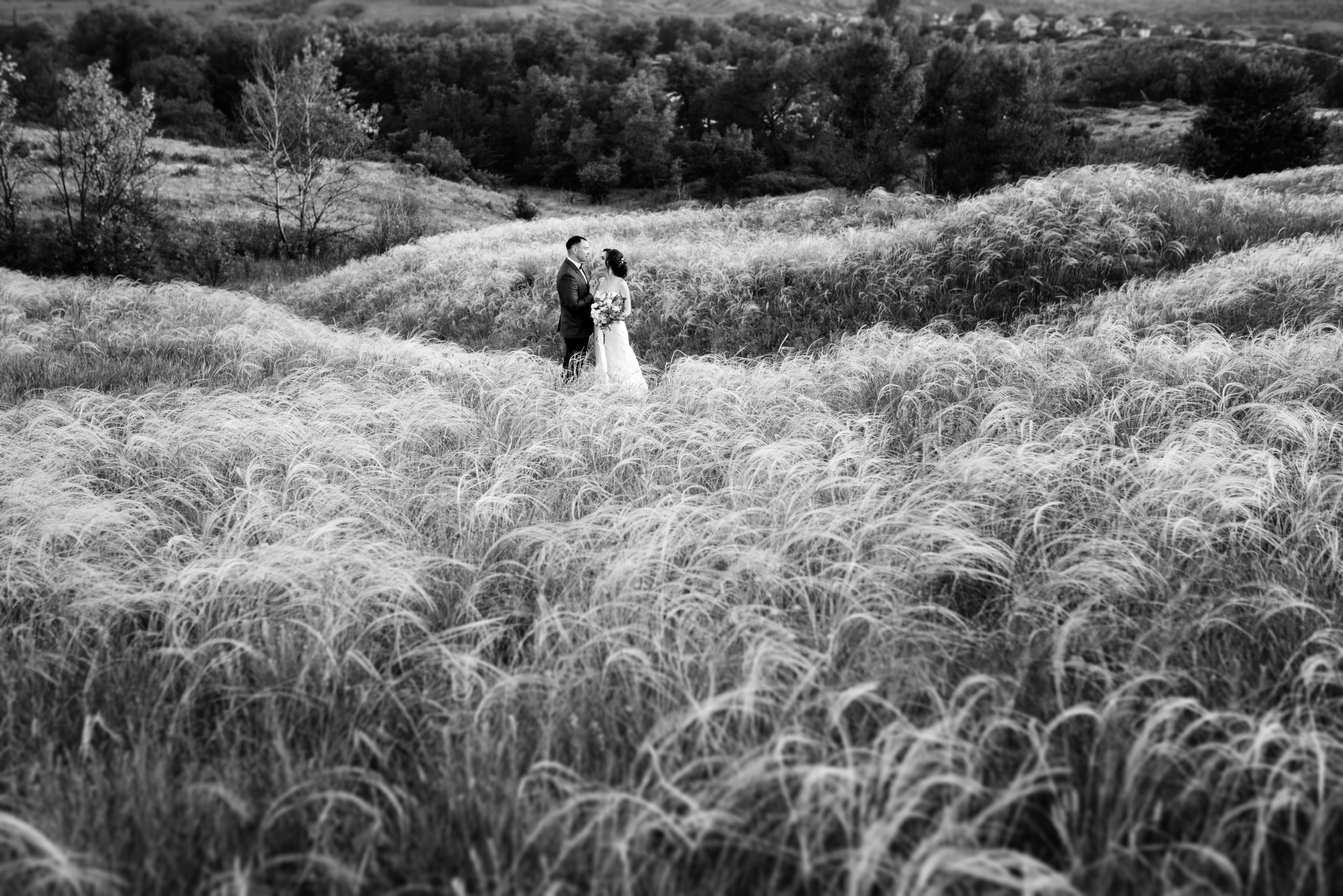 Newlyweds together in a windswept grassy field