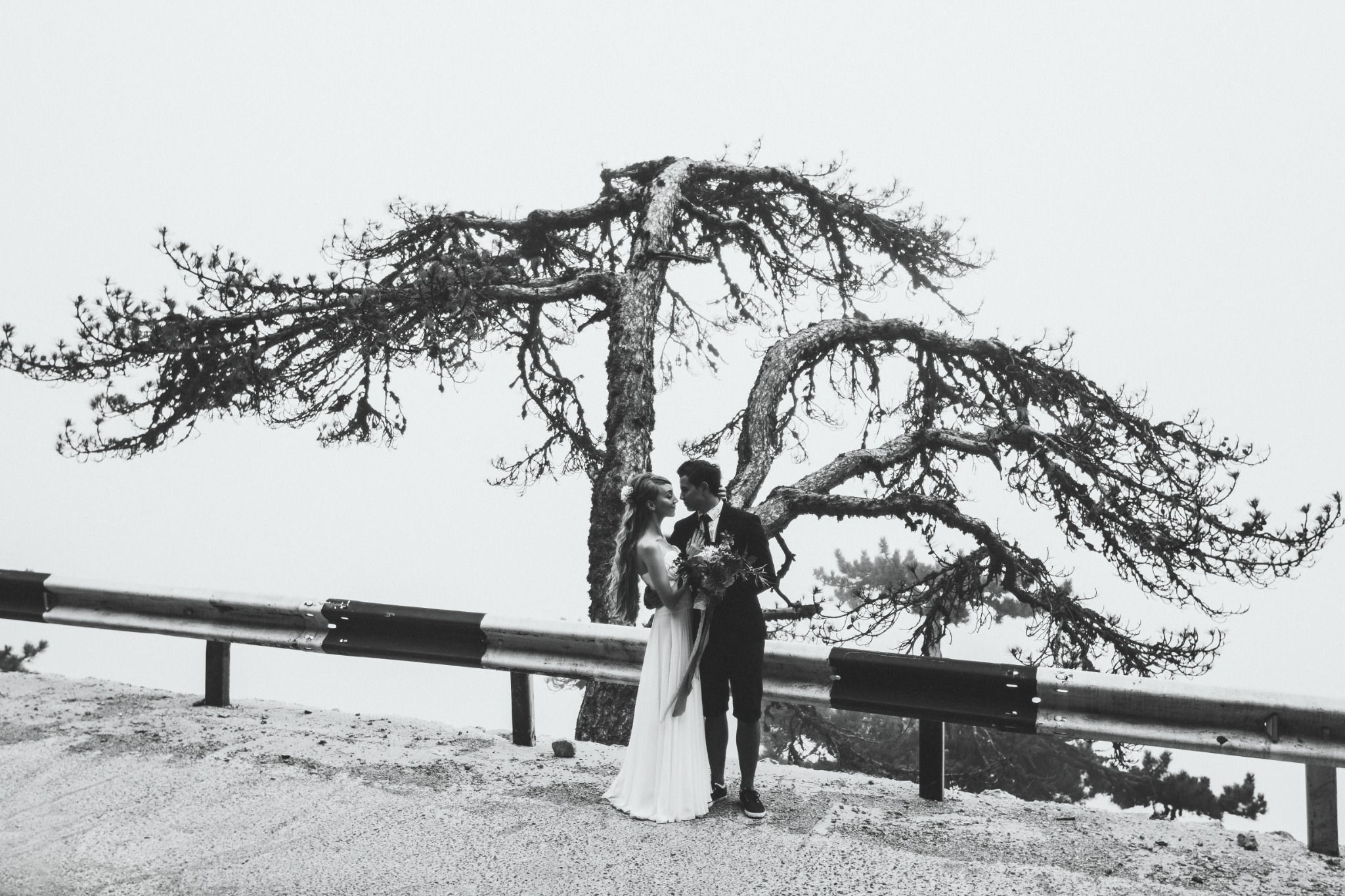Affectionate wedding couple embracing beneath a large spreading tree