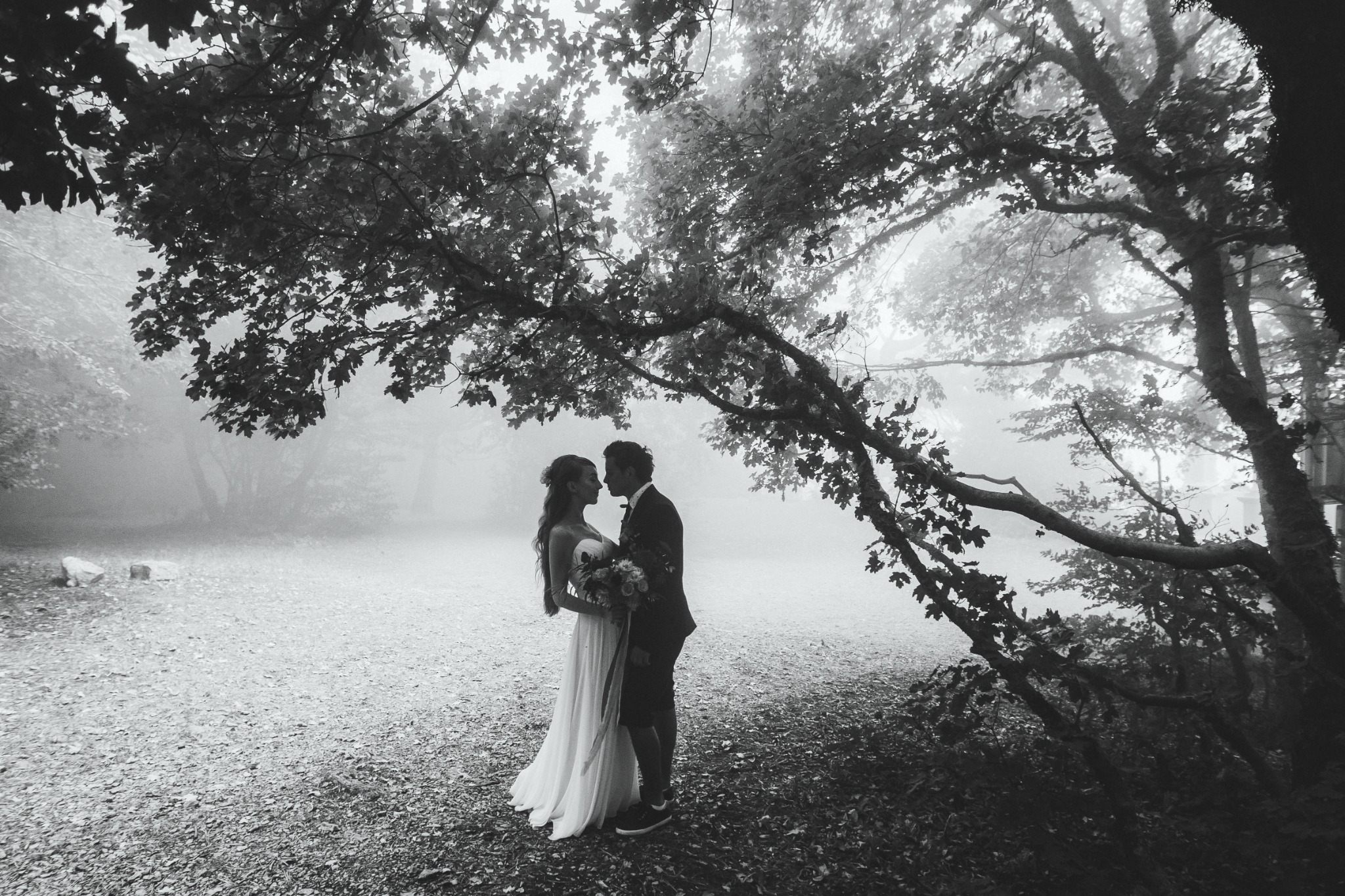 Romantic wedding couple beneath mature trees